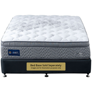 A.H. Beard Domino Oslo Plush Queen Mattress DOSLOPMQUE